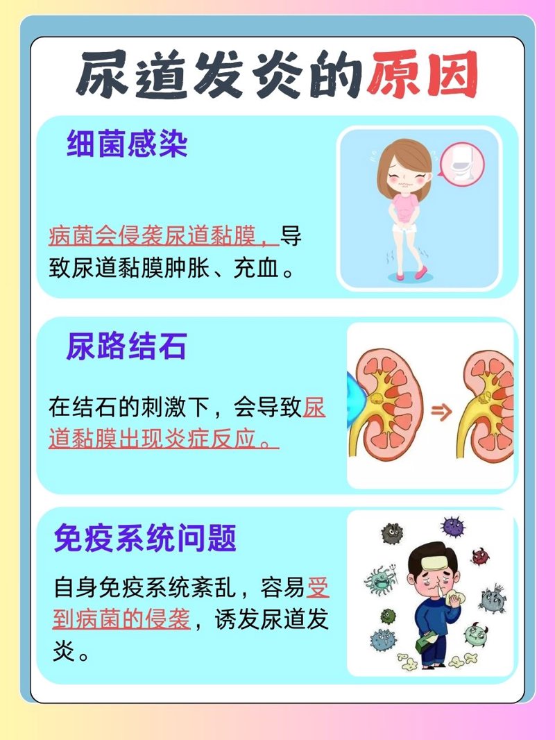 泌尿系结石是肾结石吗？别让误解影响健康
